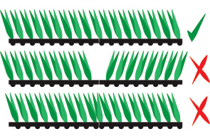 Common Issues Common Issues