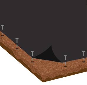 Membrane