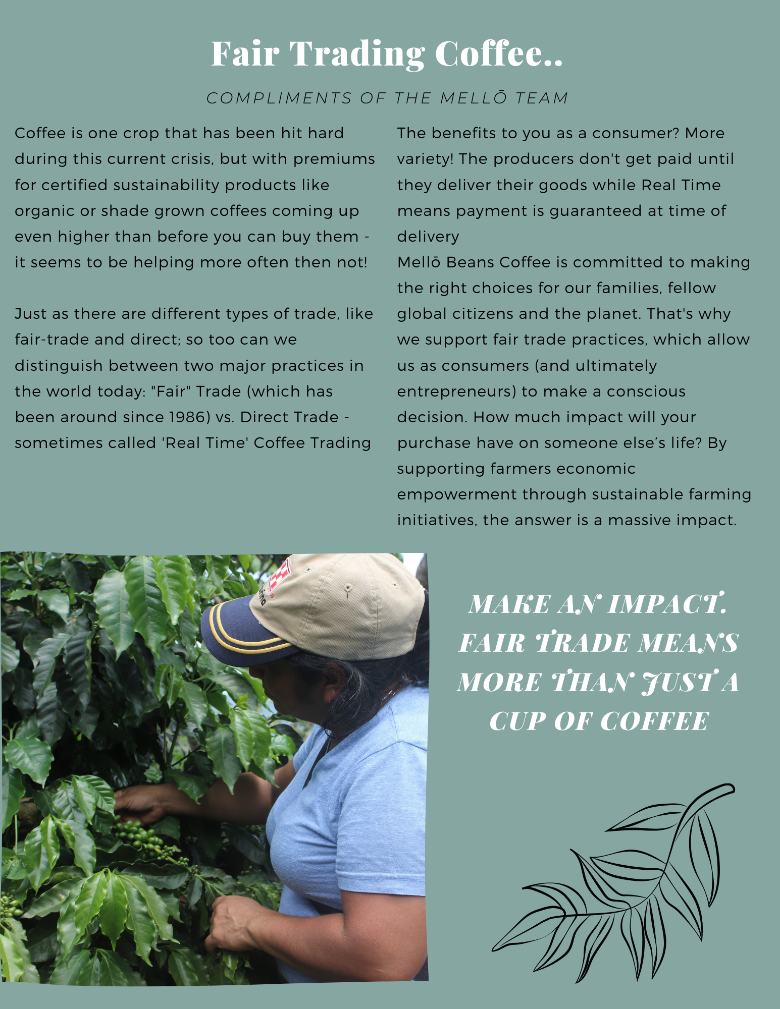 coffee, coffee delivery, coffee subscription, coffee near me, coffee roaster, south america, coffee, coffee farming, farming
