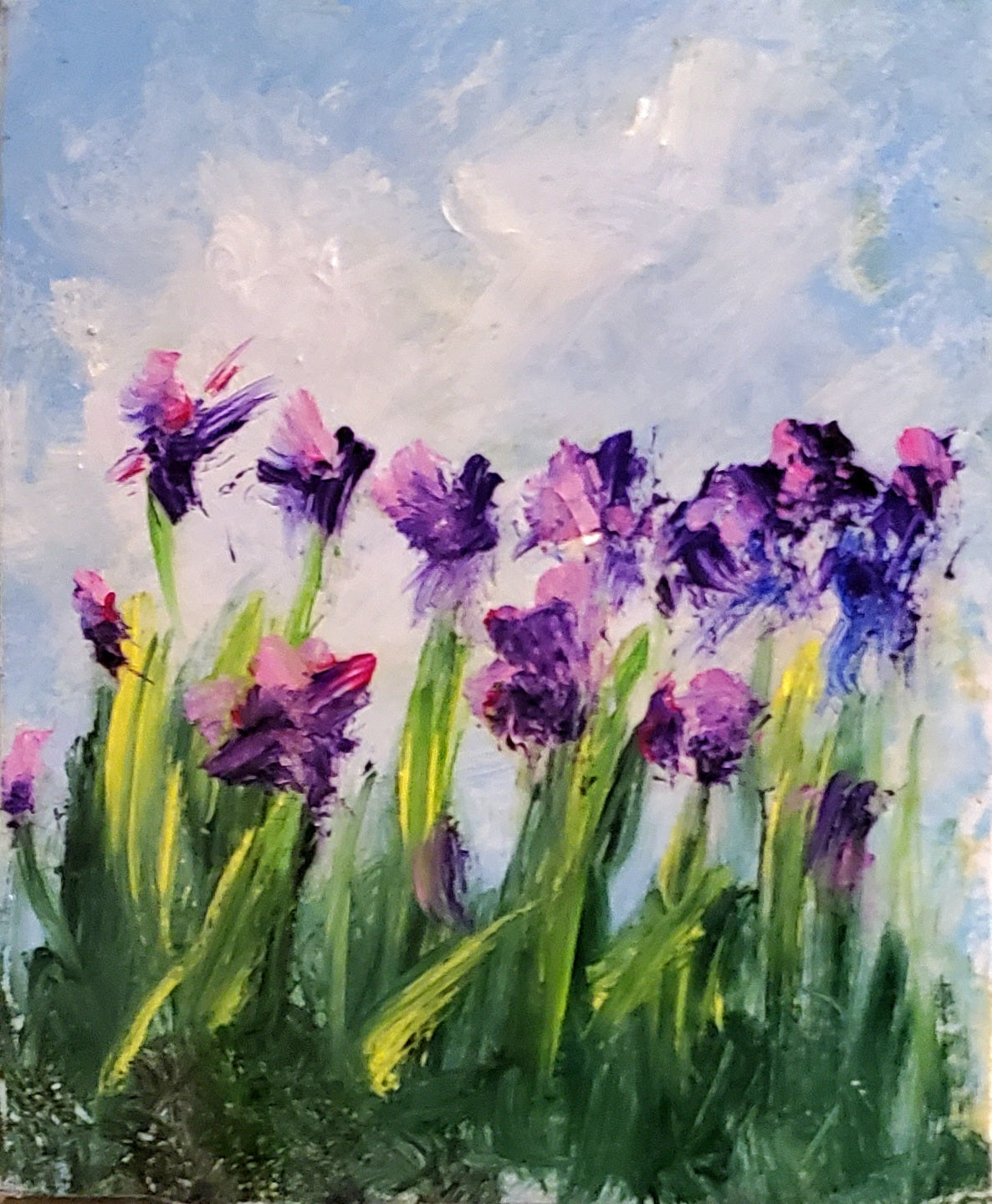 Spring Blooms