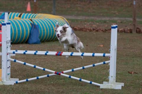 Effortless jumping over a hurdle