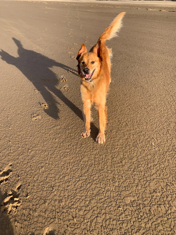 Grace running on the beach