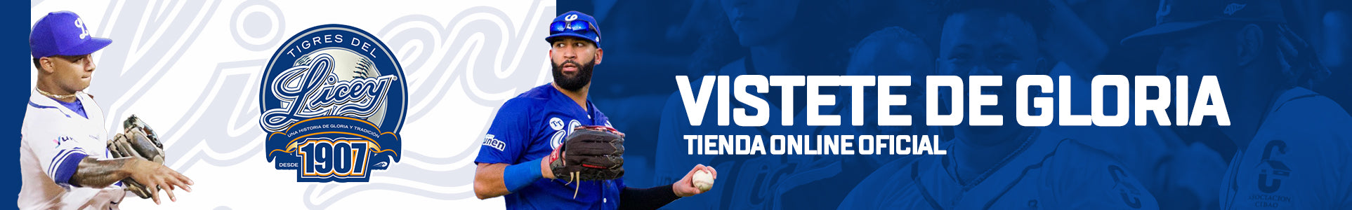 Tigres del Licey on X: Anunciamos oficialmente la contratación