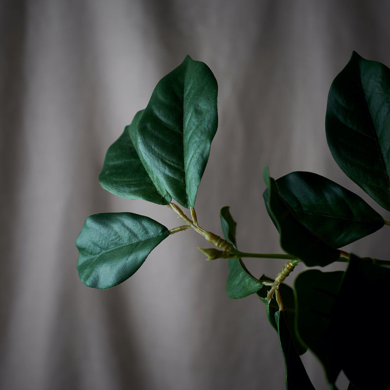 Faux Dark Green Foliage – Layered Lounge