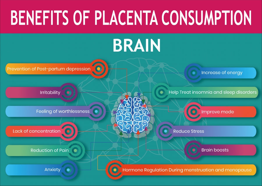 Benefits of Placenta Pills