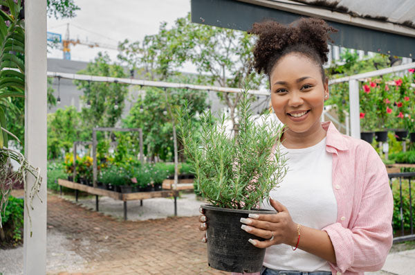 black woman rosemary plant