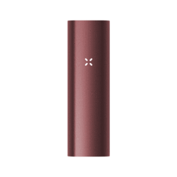 PAX3