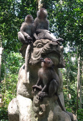 Ubud Monkey Forest