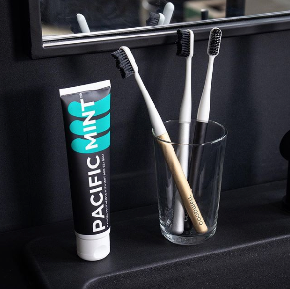 Goodwell Premium brush with toothpaste