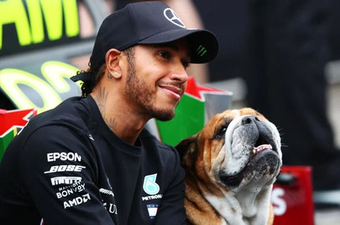 Lewis Hamilton with Roscoe the Bulldog