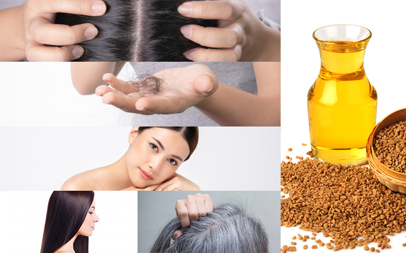 Benefits of Jojoba Oil and Fenugreek Oil – Re'equil