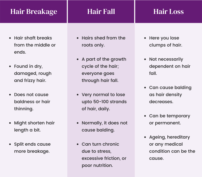 5 Natural Oils That Stop Hair Loss  Breakage