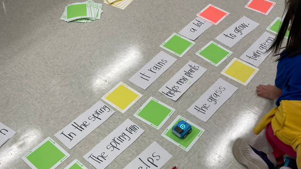 A Phoneme-Grapheme Mapping activity.