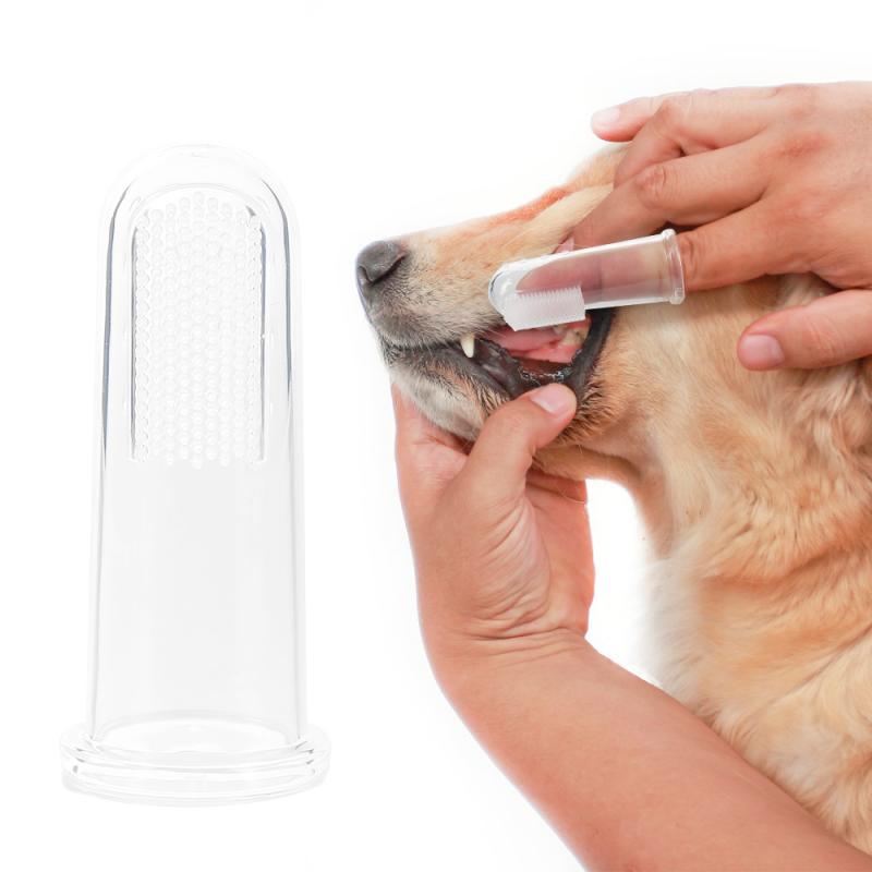 pet finger toothbrush