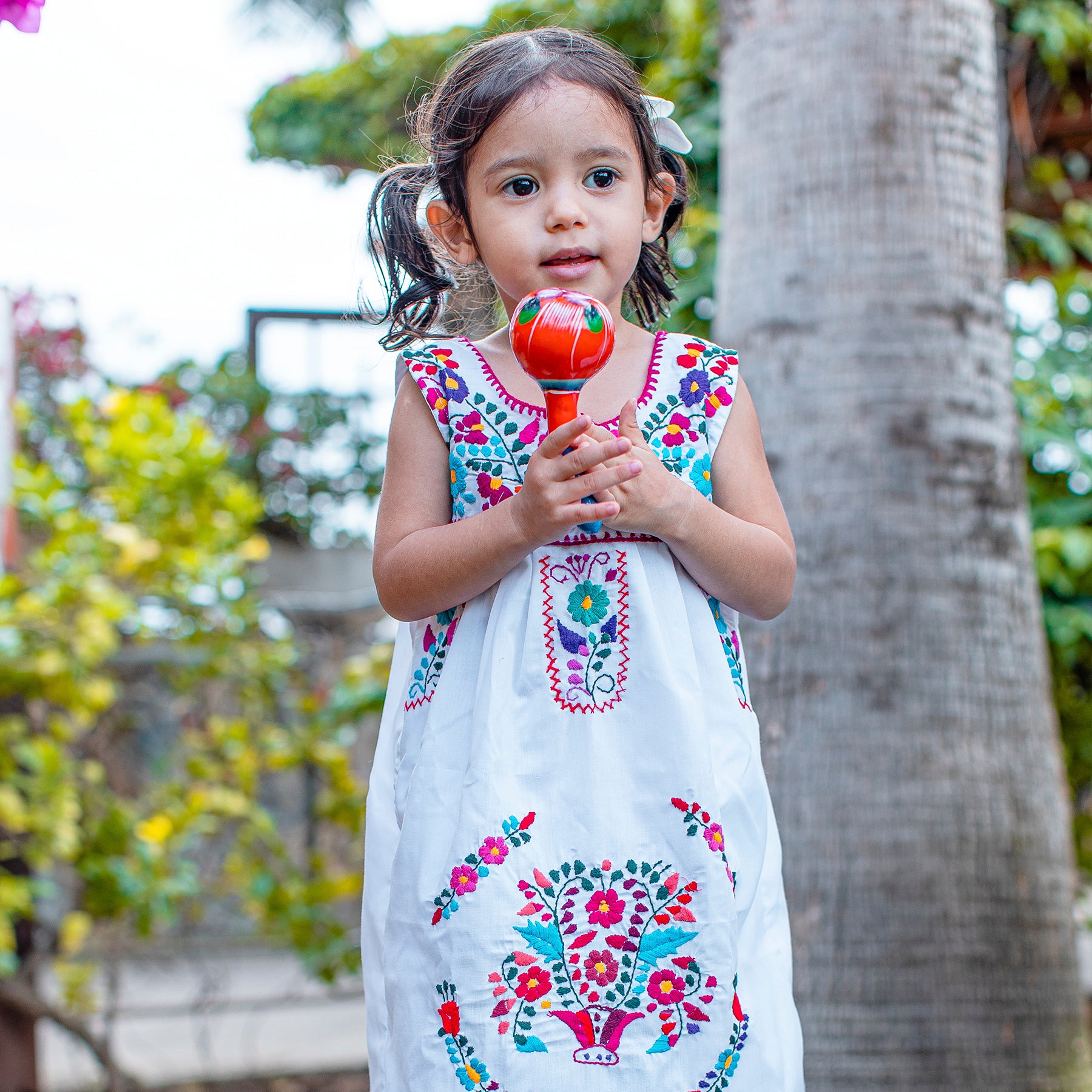 Chelito Toddler Girls Mexican Dress – Erica Maree