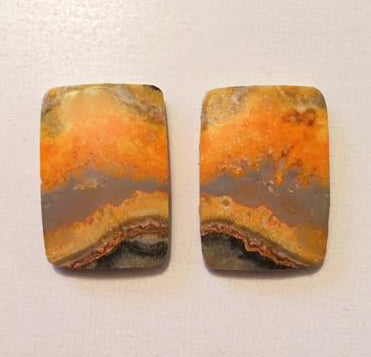 Bumblebee Jasper cabochons matched pair of oblong