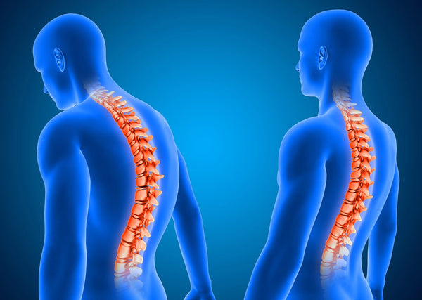 Should Lumbar Support Be Positioned on Your Higher or Lower Back?