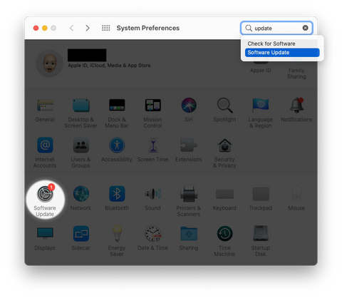 macOS Big Sur 11.1 Software Update System Preferences