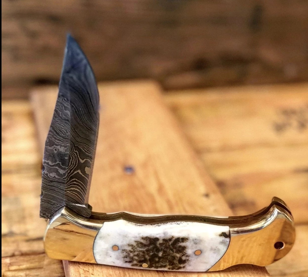 Deer Stag Pocket Knife