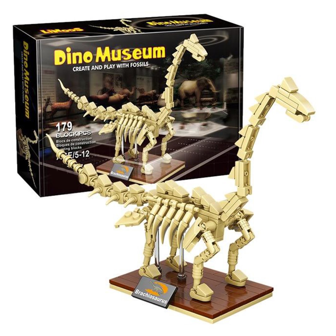 Dinosaur Fossil Skeletons Building Blocks – Kawaiies