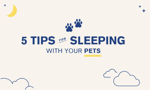 Tips for sleeping with your pet