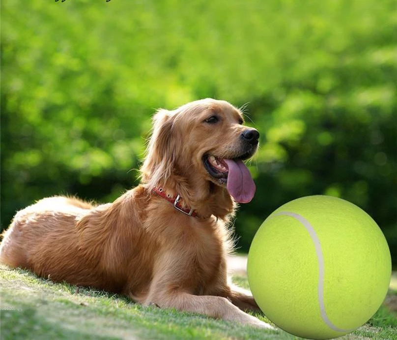 giant ball dog toy