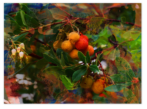 Berries floral mixed media art