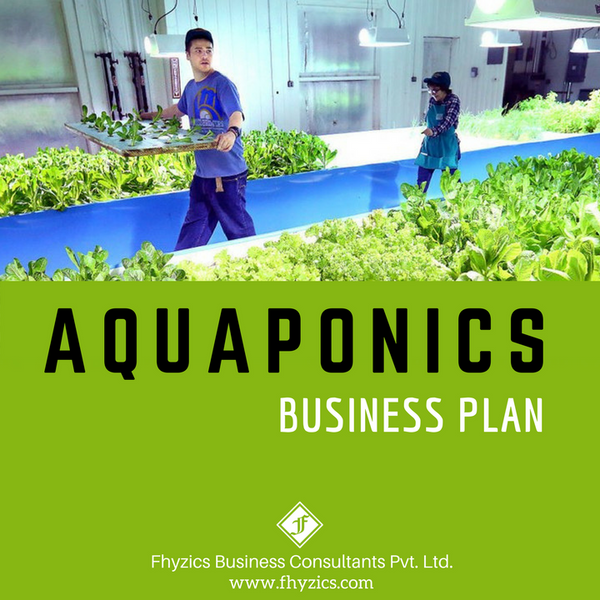 aquaponic business plan