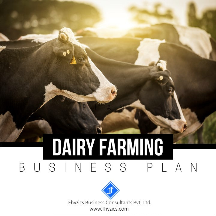 how to write a business plan on dairy farm