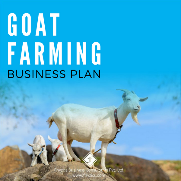 sample business plan for goat rearing