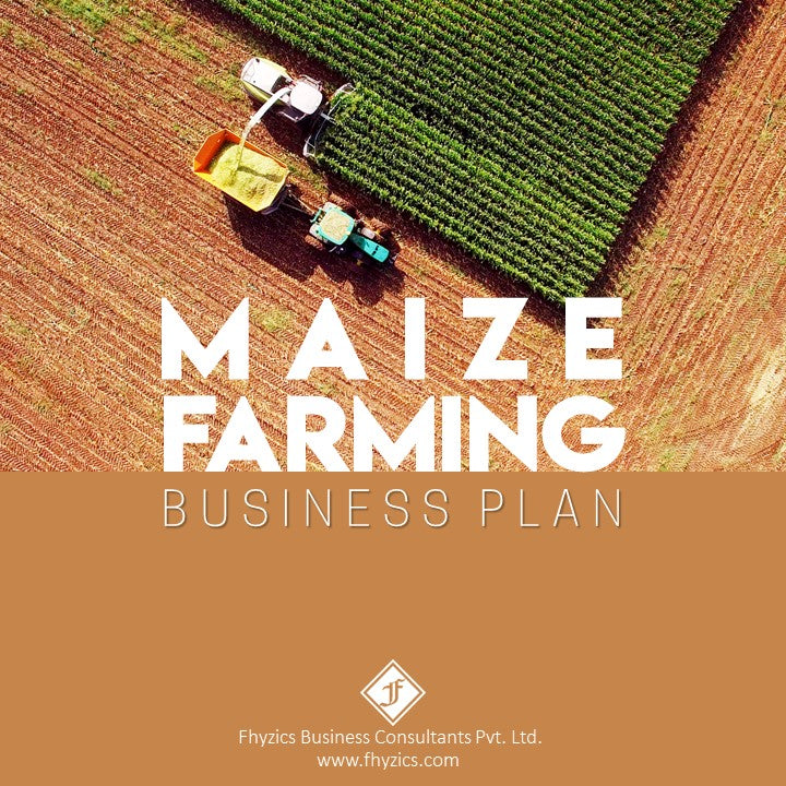 maize farming business plan in south africa pdf