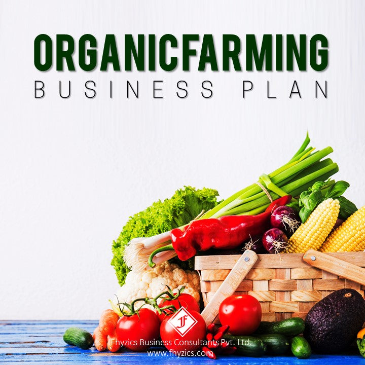 organic food business plan