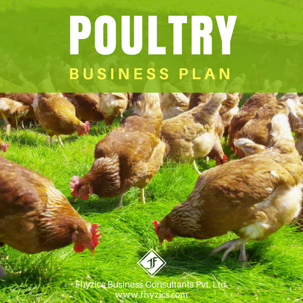 poultry farm startup business plan