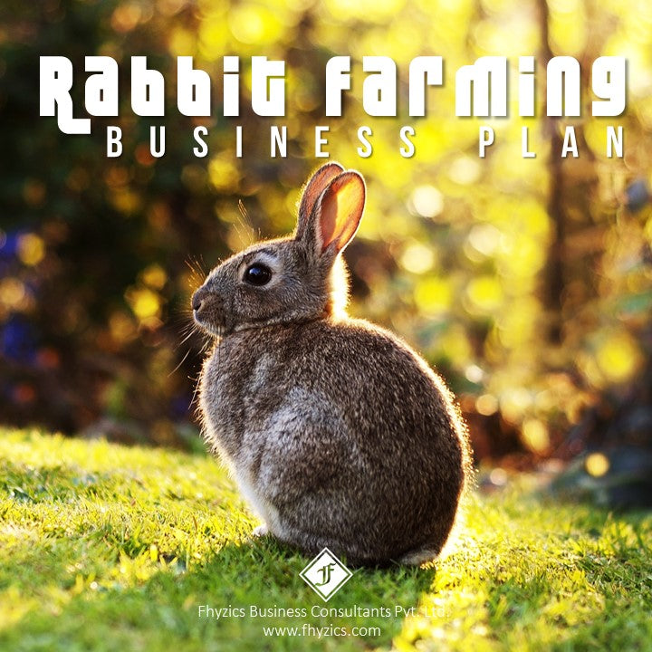 business plan template for rabbit farming