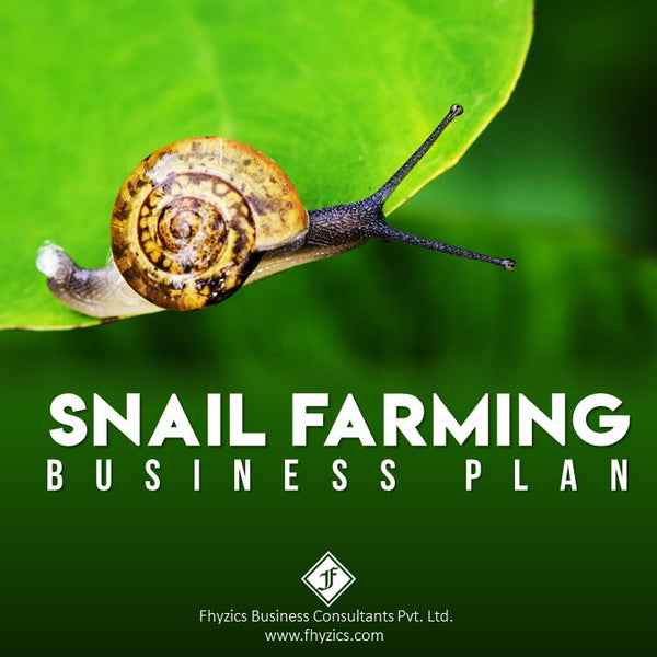 snail farming business plan in india