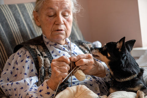 Elderly knitting while her pet on her side