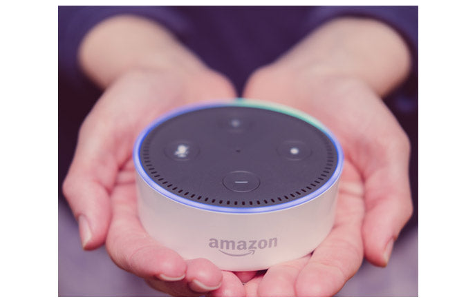 Alexa elderly monitoring service