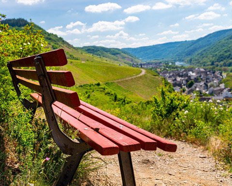 Bench on hillside