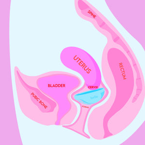 menstrual cup pushing against bladder