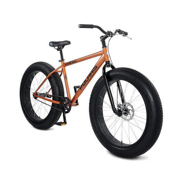 polaris fat tire bike