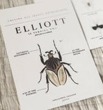 Insect Theme Birthday Party Invitations