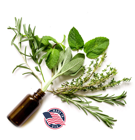 Fresh organic herbs coming out of a bottle