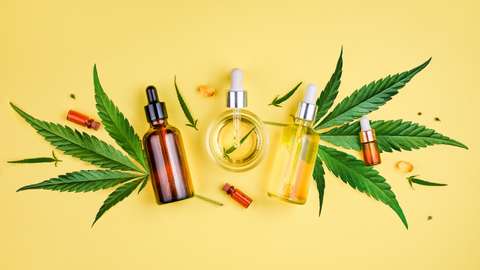 Best CBD Oil Tincture