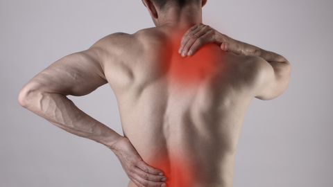 Best CBD Oil For Pain Relief