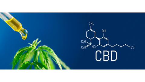 Best CBD Topicals