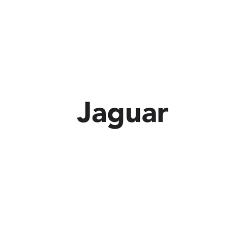 Jaguar car mats