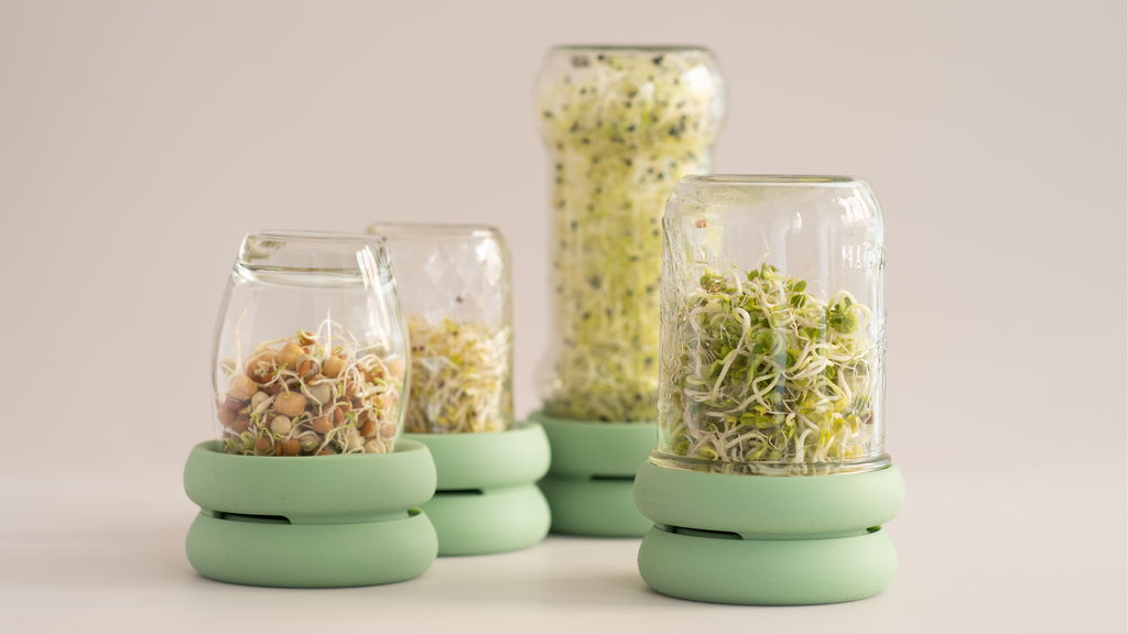 Sprouting Jars