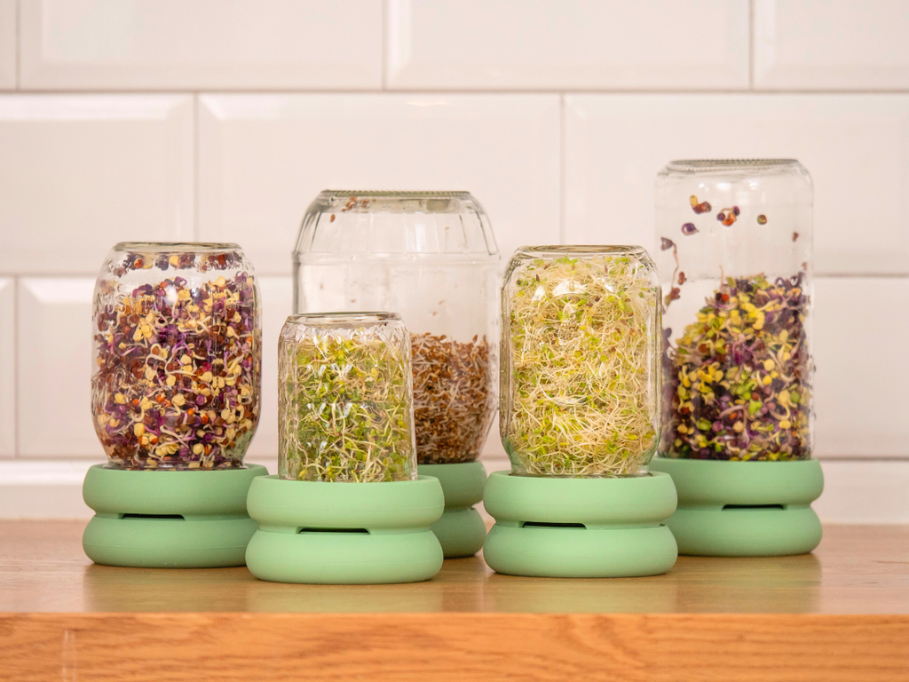 Four sprout huggers next to each other, on a wooden table, an eco friendly solution for a sustainable kitchen.