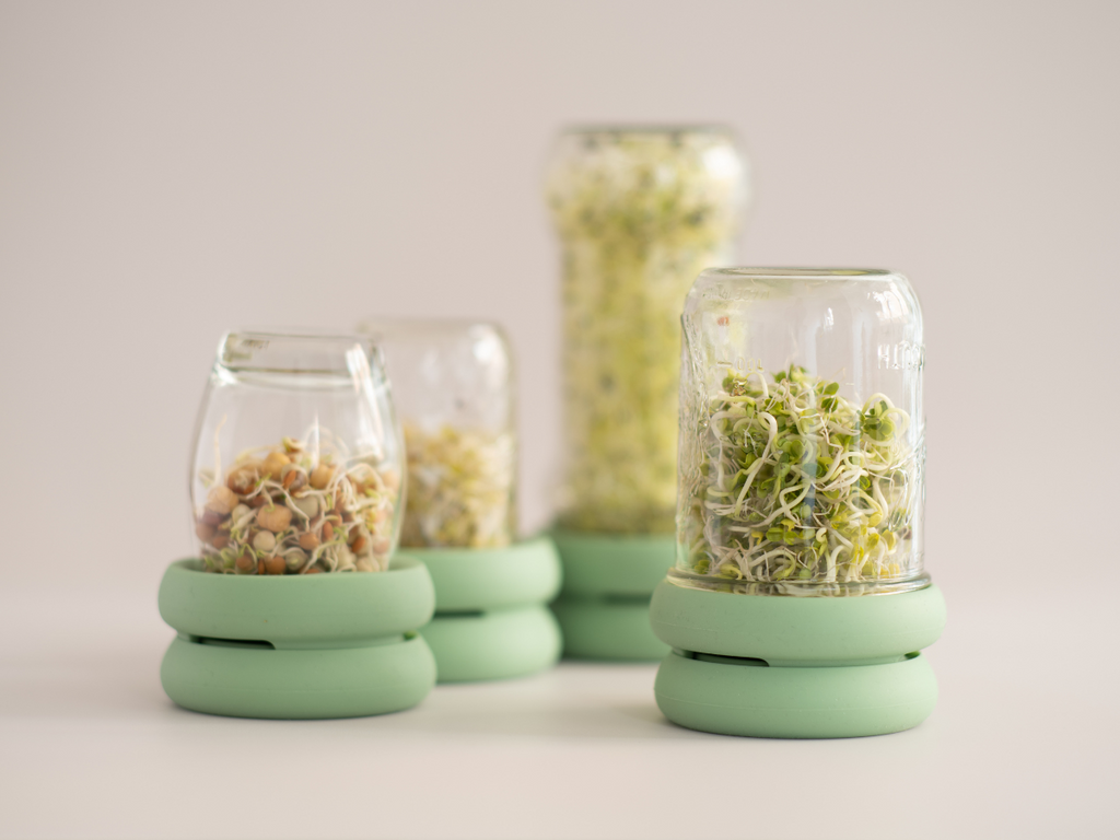 Four sprout huggers side by side an eco friendly solution for sustainable kitchen.