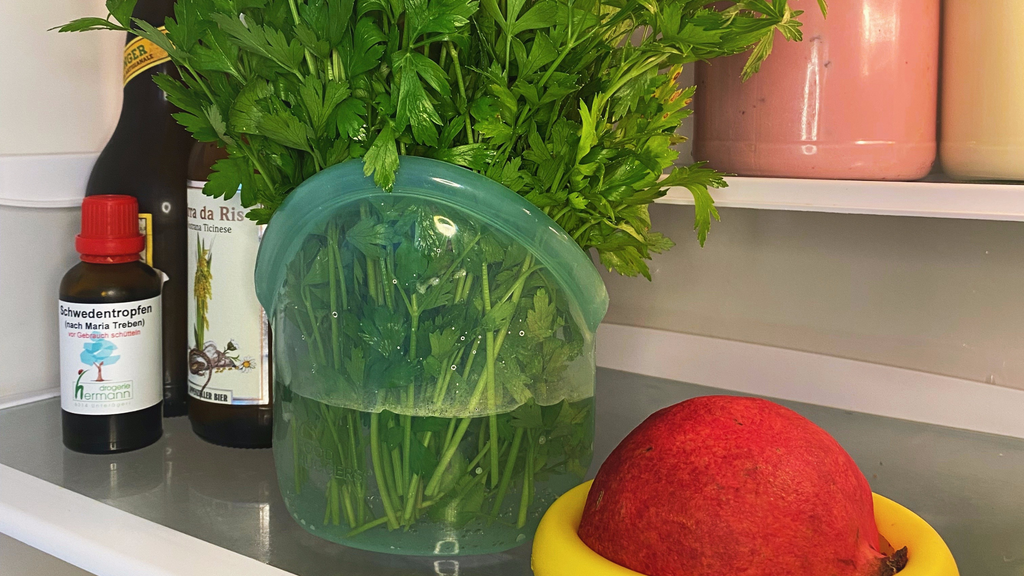 Storing herbs in the fridge for Food Huggers Hugger Bags